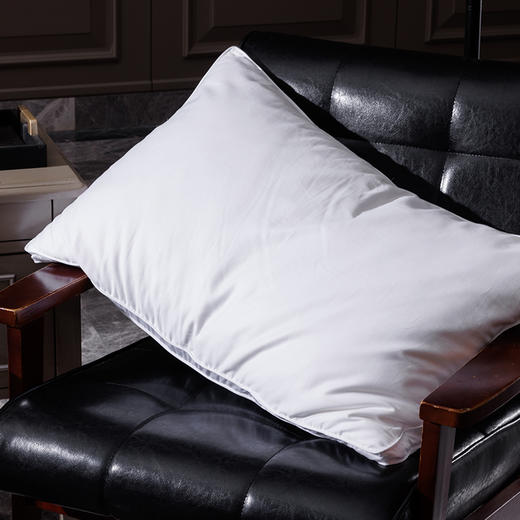 多喜爱 尊享轻奢白鹅蚕丝立体枕（白）cs 商品图1