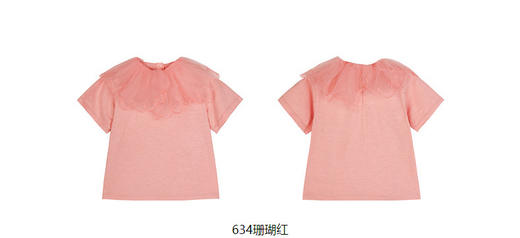jnby  23年秋款  娃娃领直筒短袖T恤  1N7113080 商品图11