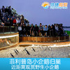 墨尔本菲利普岛观赏小企鹅归巢门票 商品缩略图2