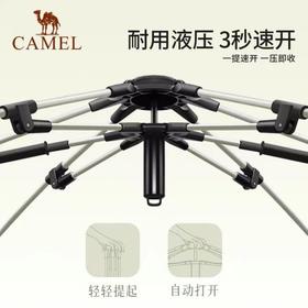 骆驼（CAMEL）【熊猫联名】帐篷户外液压便携式折叠野营露营公园野餐全自动帐篷 1V32265017