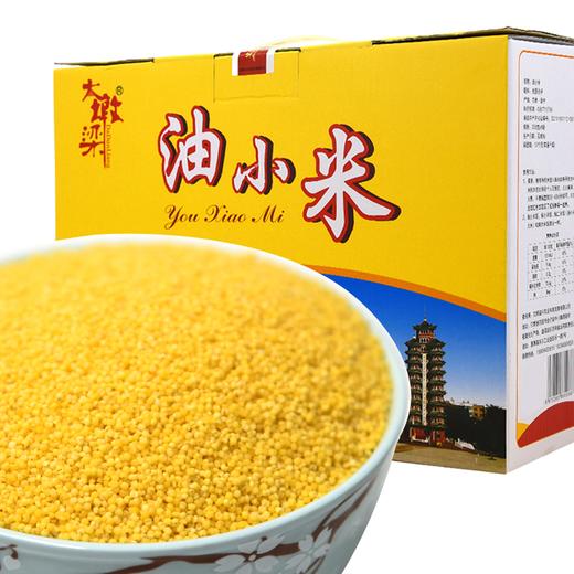 JXNY-油小米2010g/盒【大宗供货请联系客服】 商品图1