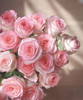 【拍市玫瑰】 爱莎  10枝/扎  约60公分 商品缩略图2