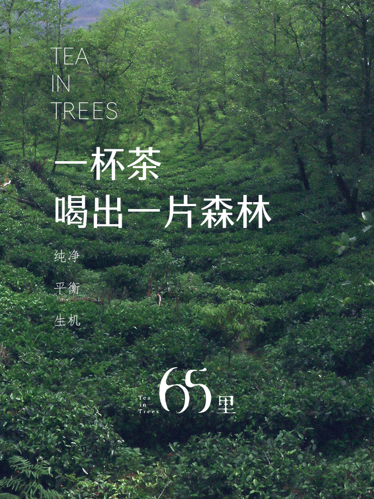 补拍运费链接，仅补运费用，非实物，本链接拍下无需发货