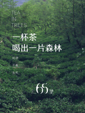 补拍运费链接，仅补运费用，非实物，本链接拍下无需发货