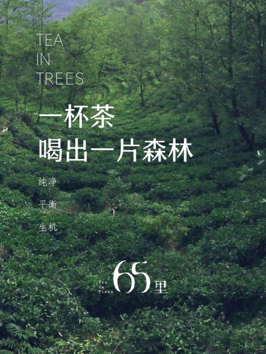 补拍运费链接，仅补运费用，非实物，本链接拍下无需发货 商品图0