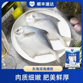 鲜到鲜得 海捕银鲳鱼400g*4包 新鲜冷冻 野生捕捞 深海平鱼 每包4条