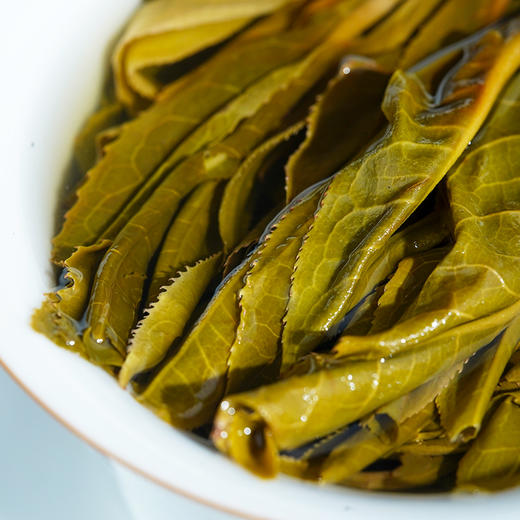 【大黑山】2023年头春头采倚邦中仅次于曼松的新贵有钱难买的稀缺资源风水宝地出好茶 商品图7