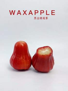 限时秒杀 .黑金刚特级 莲雾 |汁多清甜，糖尿病人也好吃的水果