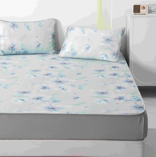 多喜爱  美眠康 夏凉类 水洗笠围空调席-慕晴 商品图0