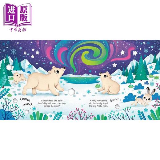 【中商原版】发声书:北极动物Arctic Animals Sound Book英文原版 儿童纸板书 科学自然绘本动物知识图画书精品有声书亲子童书 商品图3