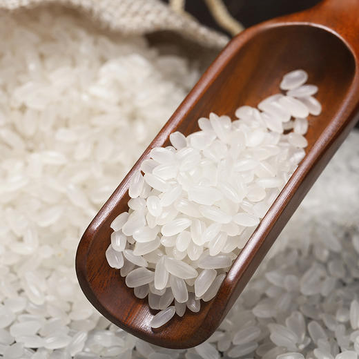 金龙鱼 长粒香大米 东北大米 臻选长粒香大米2.5kg 商品图4