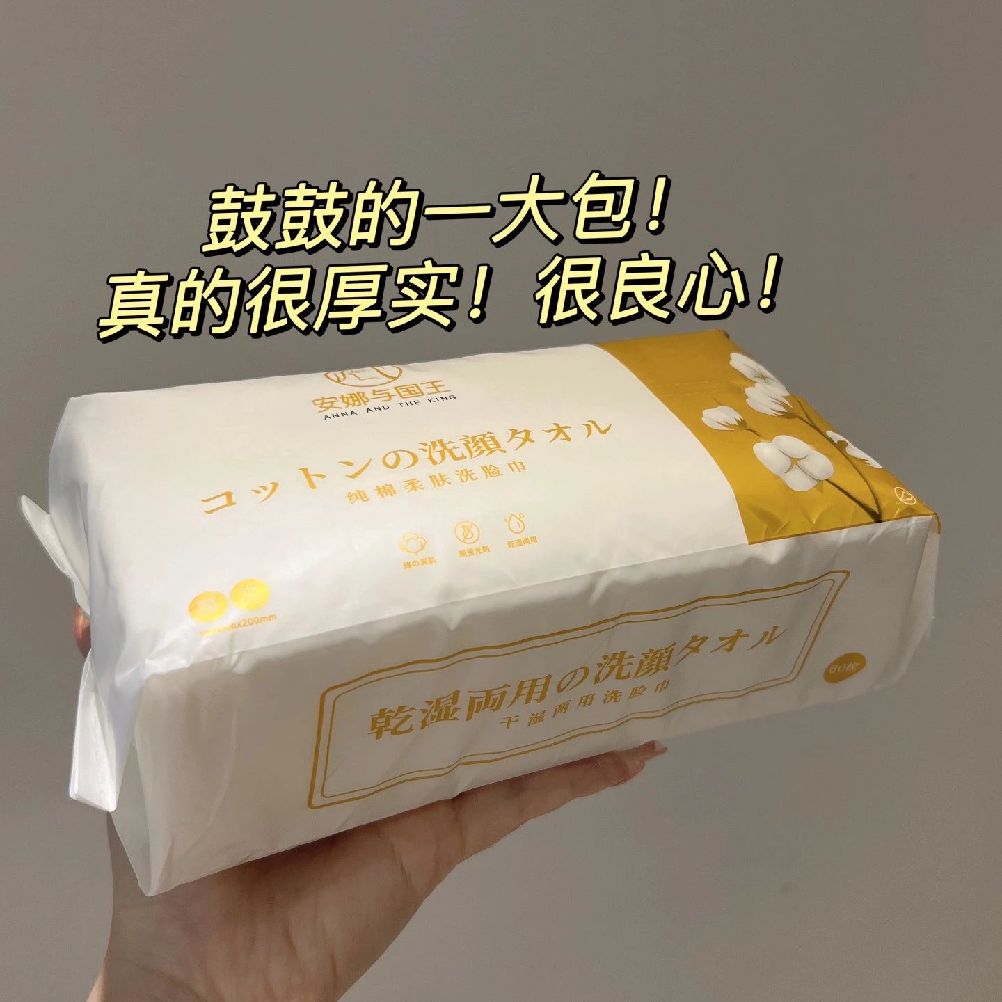 安娜与国王洗脸巾  5包 22RR343