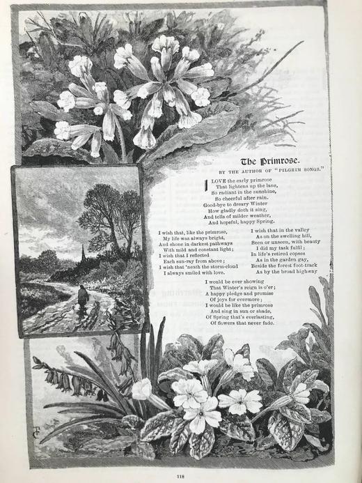 1894年 家庭箴言杂志 约百幅插图 漆布精装16开 商品图13