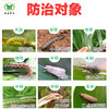 康宽  有效成分氯虫苯甲酰胺  能够引起害虫肌肉调节衰弱 使得虫体麻痹而死 商品缩略图1