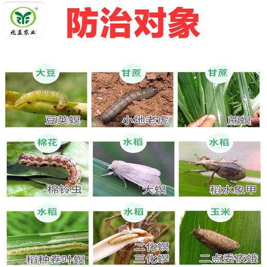 康宽  有效成分氯虫苯甲酰胺  能够引起害虫肌肉调节衰弱 使得虫体麻痹而死 商品图1