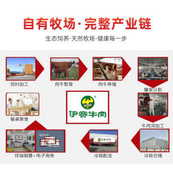 伊赛 国产清真 儿童牛排套餐整切调理 500g(5片) 番茄酱包5袋学生早餐 商品图4