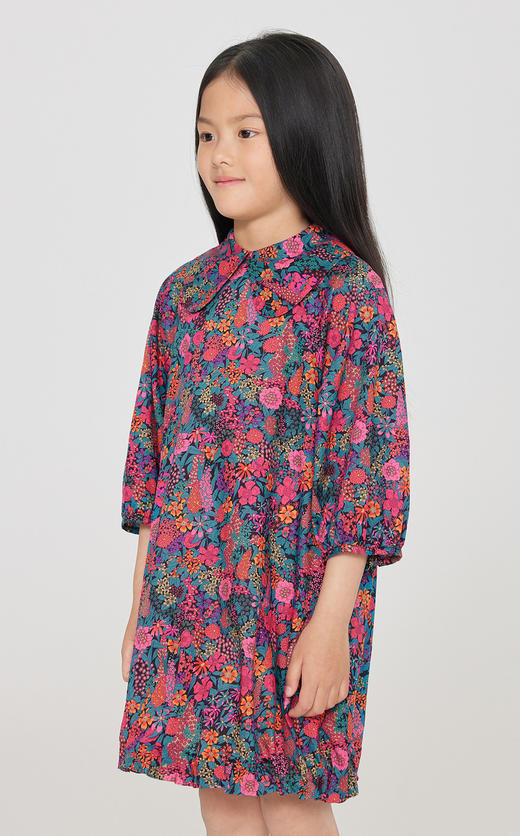 jnby  23年秋款  印花中袖连衣裙  1N7G13110 商品图4