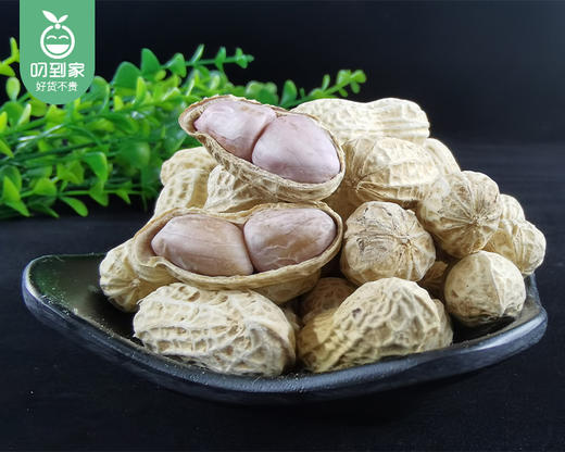 姥家来小白砂水煮花生（原味）/1袋（约1000g）生产日期：26年4月 商品图1