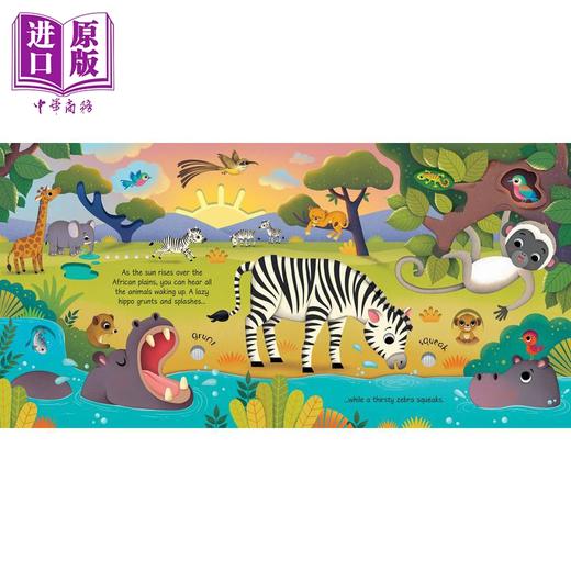 【中商原版】发声书:野生动物Wild Animals Sound Book英文原版 儿童纸板书 科学自然绘本动物知识图画书精品发声书亲子童书 商品图2