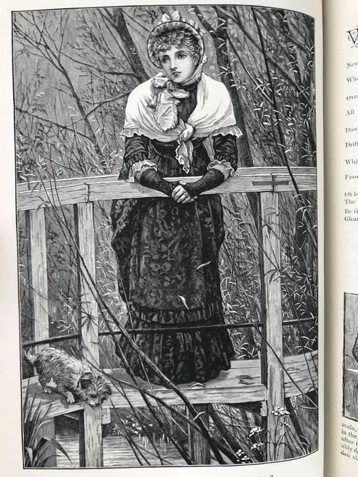 1883年 箭囊杂志 数百幅插图 真皮精装16开 商品图12