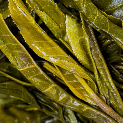 【君临天下】2023年头春头采易武蕞高峰黑水梁子蕞具江湖气息的山头为荣誉而战为纪念而生 商品图2