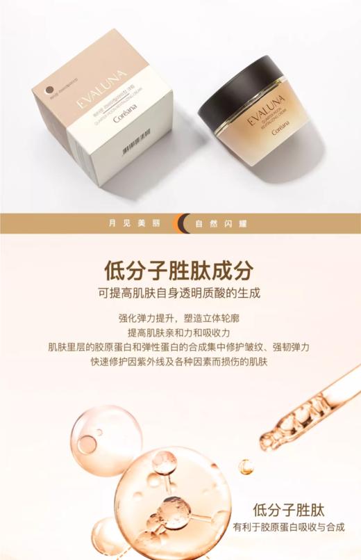 依花珞娜弦月赋活抗皱霜 商品图3