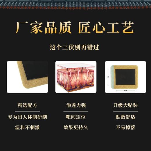 膏药范围更大的三伏贴 春夏养阳 养在三伏 商品图3