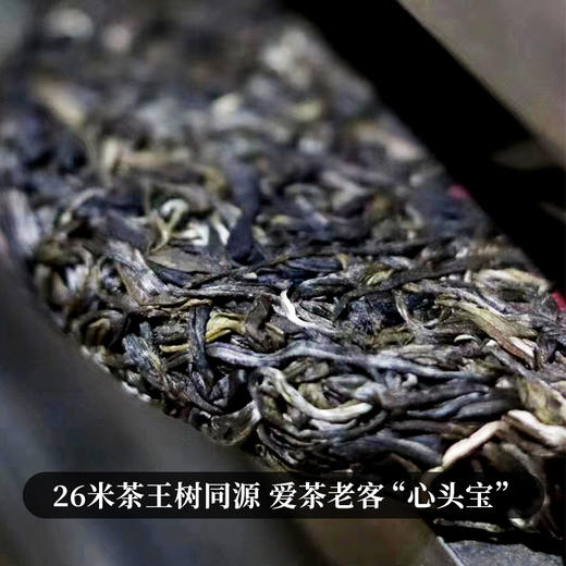 【百花潭高杆】2023年头春头采全球仅有八棵高杆古树古寨春承包其中三棵难以买到的稀缺资源 商品图7