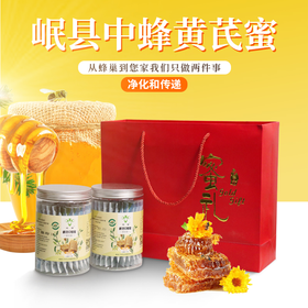 HF-岷县蜂蜜（黄芪花蜜红礼盒装）【大宗供货请联系客服】