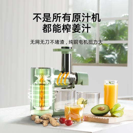 ERNTE 昂特|中国进口博览会、德国国家馆推荐品牌 渣汁分离全自动家用榨汁机 型号：ESJ-2201-OG （付款后三天内发货） 商品图4