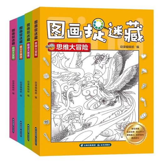 图画捉迷藏（全套4册）思维大冒险 极速大搜索 眼力大挑战 视觉大发现 中小学生课外阅读书籍 适合6-14岁阅读书籍拓展思维提高智力 商品图4