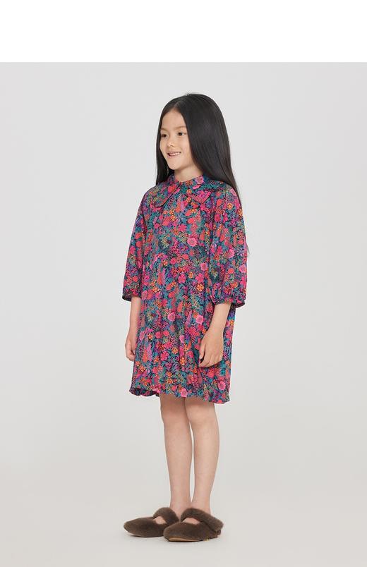 jnby  23年秋款  印花中袖连衣裙  1N7G13110 商品图6