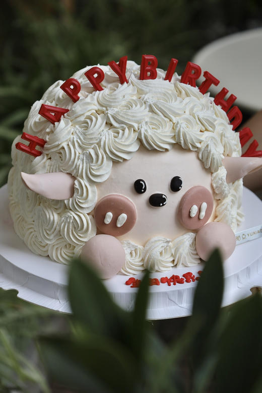 可爱生日羊咩咩 商品图6