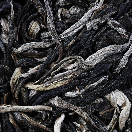 【百花潭高杆】2023年头春头采全球仅有八棵高杆古树古寨春承包其中三棵难以买到的稀缺资源 商品图5