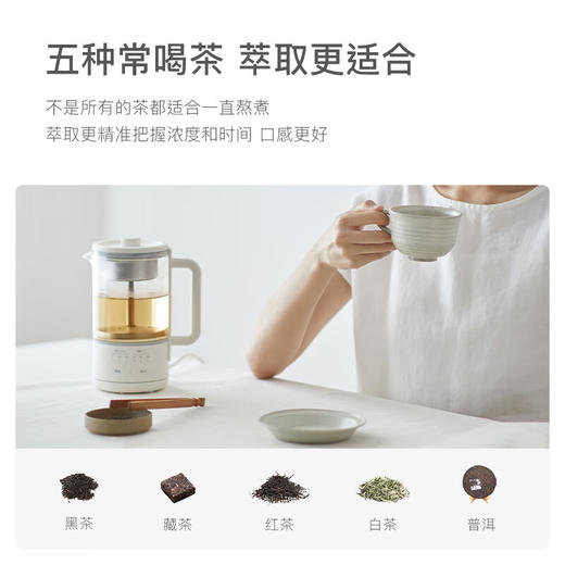 欧莱克（olayks） 煮茶器 喷淋式黑茶白茶煮茶壶家用自动蒸汽养生壶办公室小型 陶白 商品图1
