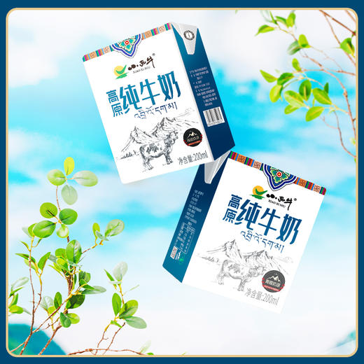 【光明&小西牛】青海纯牛奶青藏高原全脂纯牛奶整箱儿童学生早餐奶200ml*20盒 商品图11