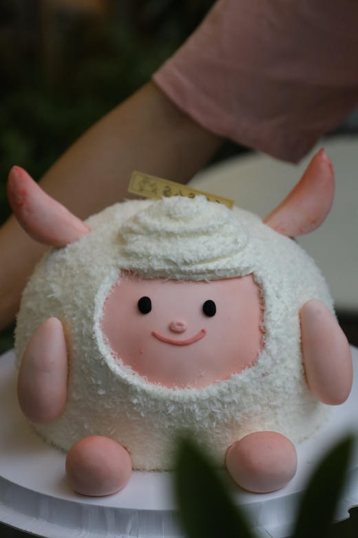 Dongdong羊（原皮） 商品图1