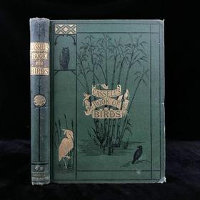约19世纪后期 卡塞尔鸟类图鉴（卷2） 10幅彩色112幅黑白插图 漆布精装16开