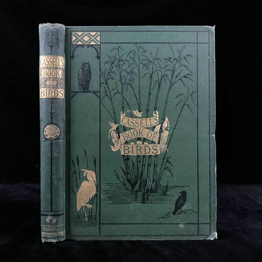 约19世纪后期 卡塞尔鸟类图鉴（卷2） 10幅彩色112幅黑白插图 漆布精装16开 商品图0