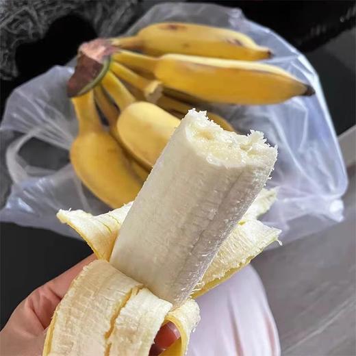 越南芭蕉 约1000g/份 商品图1