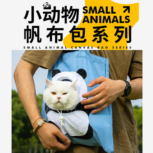新款帆布包 可露头单肩猫包 可手提 口袋便捷外出背包 造型可爱 宠物箱包 商品图0