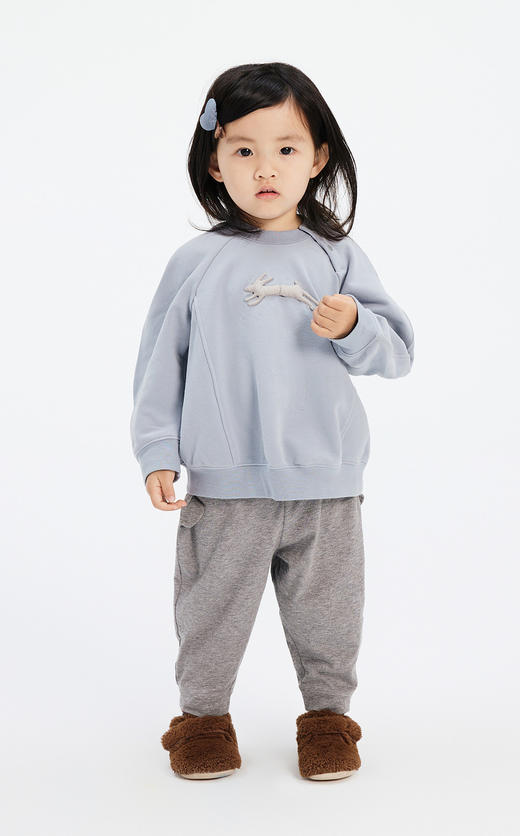 jnby  23年秋款  圆领套头卫衣  YN7411530 商品图3