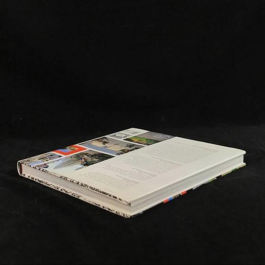 伟大的公共广场图集 数百幅插图 精装大16开 商品图2