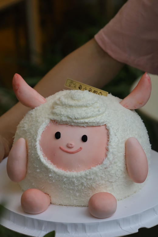 Dongdong羊（原皮） 商品图3