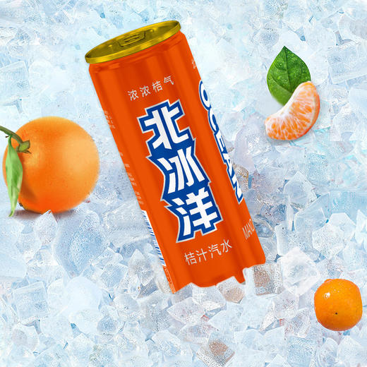 北冰洋饮料 听装桔汁汽水 果汁碳酸饮料 330ml*24听/箱 气足爽口 经典口味 商品图2