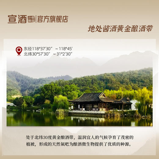 【宣酒高端新品】宣酒宣酱七星*1瓶53度500mL小石窖酱香型高端 商品图3