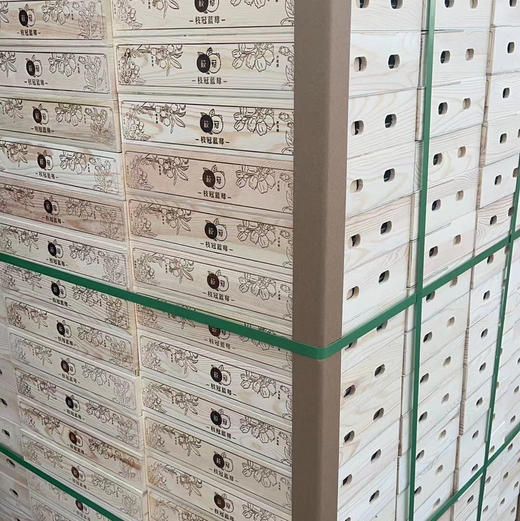 串枝蓝莓 商品图13