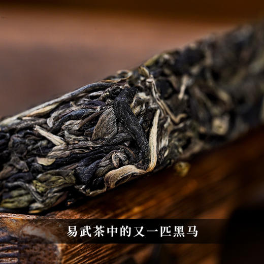 【君临天下】2023年头春头采易武蕞高峰黑水梁子蕞具江湖气息的山头为荣誉而战为纪念而生 商品图7