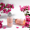 【内购会专享】欧舒丹甜蜜樱花洗护套装樱花沐浴露润肤露 商品缩略图2