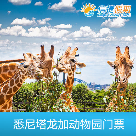 悉尼塔龙加动物园门票 商品图0